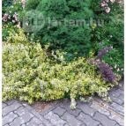 Villa Apartman Egerszalók - Egyéb