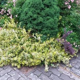 Villa Apartman, Egerszalók - Egyéb