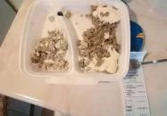 Csalogató Étterem Budapest