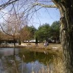 Bodrogi Kúria Wellness Hotel Inárcs - Medence/kert