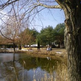 Bodrogi Kúria Wellness Hotel, Inárcs - Medence/kert