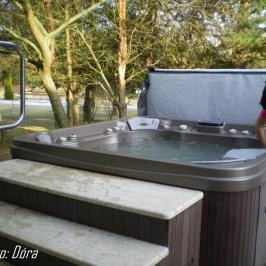 Bodrogi Kúria Wellness Hotel, Inárcs - Medence/kert