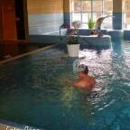 Bodrogi Kúria Wellness Hotel Inárcs - Medence/kert