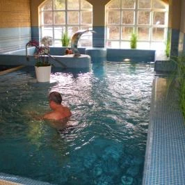 Bodrogi Kúria Wellness Hotel, Inárcs - Medence/kert