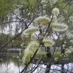 Bodrogi Kúria Wellness Hotel Inárcs - Környék