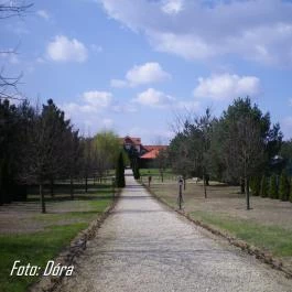 Bodrogi Kúria Wellness Hotel, Inárcs - Környék