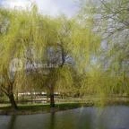 Bodrogi Kúria Wellness Hotel Inárcs - Környék