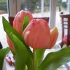 Bodrogi Kúria Wellness Hotel Inárcs - Egyéb