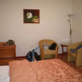 Elizabeth Hotel, Gyula - Szobák