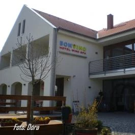 Hotel Bonvino Wine & Spa, Badacsony - Külső kép