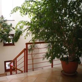 Hotel Imperial Gyógyszálló, Kiskőrös - Belső