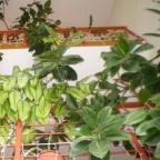 Hotel Imperial Gyógyszálló Kiskőrös - Szobák