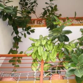 Hotel Imperial Gyógyszálló, Kiskőrös - Szobák