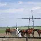 Hotel Imperial Gyógyszálló Kiskőrös - Szórakozás/Sport