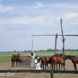 Hotel Imperial Gyógyszálló, Kiskőrös - Szórakozás/Sport