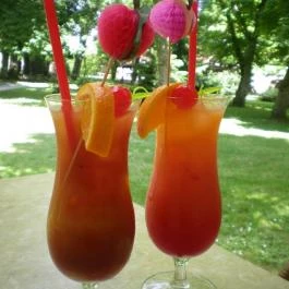 Puchner Kastélyszálló, Bikal - Vendéglátás