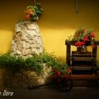 Nyerges Hotel Termál Monor - Medence/kert