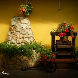 Nyerges Hotel Termál, Monor - Medence/kert