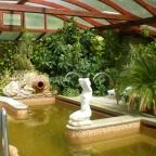 Nyerges Hotel Termál Monor - Medence/kert