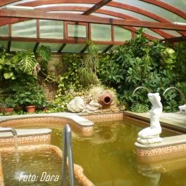 Nyerges Hotel Termál, Monor - Medence/kert