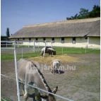 Nyerges Hotel Termál Monor - Egyéb