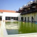 Tisza Balneum Hotel Tiszafüred - Medence/kert