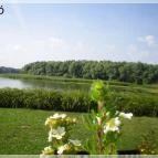 Tisza Balneum Hotel Tiszafüred - Környék