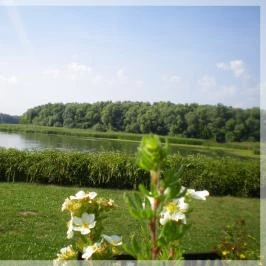 Tisza Balneum Hotel, Tiszafüred - Környék