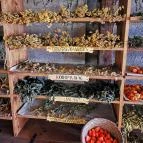 Arany Egyszarvú Patikamúzeum Kőszeg - Belső