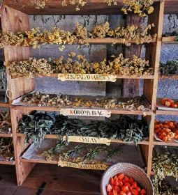 Arany Egyszarvú Patikamúzeum