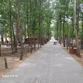 Richter Safari Park Nagykőrös - Egyéb