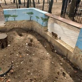 Richter Safari Park Nagykőrös - Egyéb