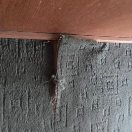 Grand Hotel Aranybika Debrecen - Egyéb