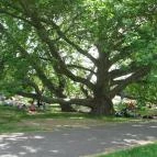 Hunguest Hotel Flóra Eger - Környék