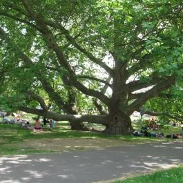 Hunguest Hotel Flóra, Eger - Környék