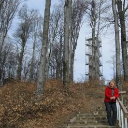 Grandhotel Galya, Galyatető - Környék