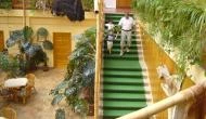 Hotel Dzsungel Nyíregyháza - Belső