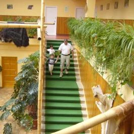 Hotel Dzsungel Nyíregyháza - Belső