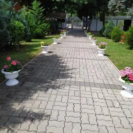 Borgáta Termálfürdő, Borgáta - Egyéb