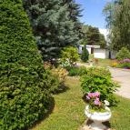 Borgáta Termálfürdő Borgáta - Egyéb