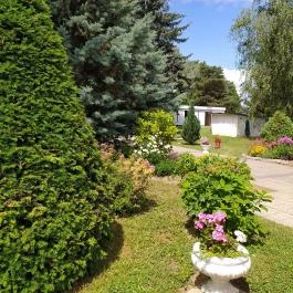 Borgáta Termálfürdő, Borgáta - Egyéb