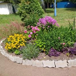 Borgáta Termálfürdő, Borgáta - Egyéb