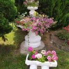 Borgáta Termálfürdő Borgáta - Egyéb