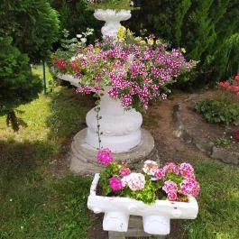 Borgáta Termálfürdő, Borgáta - Egyéb