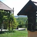 Gyümölcsliget Vendégház Csehimindszent - Medence/kert