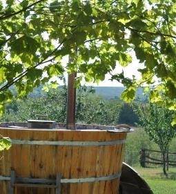 Gyümölcsliget Vendégház 