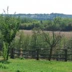 Gyümölcsliget Vendégház Csehimindszent - Medence/kert