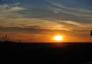 Gyümölcsliget Vendégház Csehimindszent