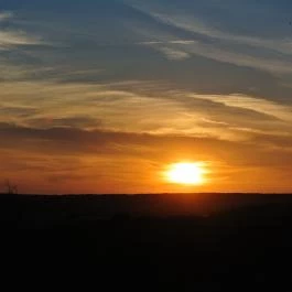 Gyümölcsliget Vendégház , Csehimindszent - Egyéb