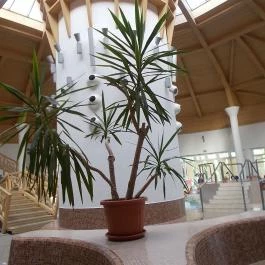 Kamilla Fürdő, Balmazújváros - 